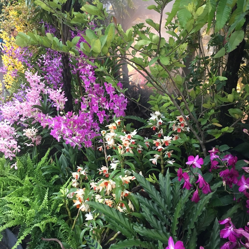 Meet your Posher, Amna